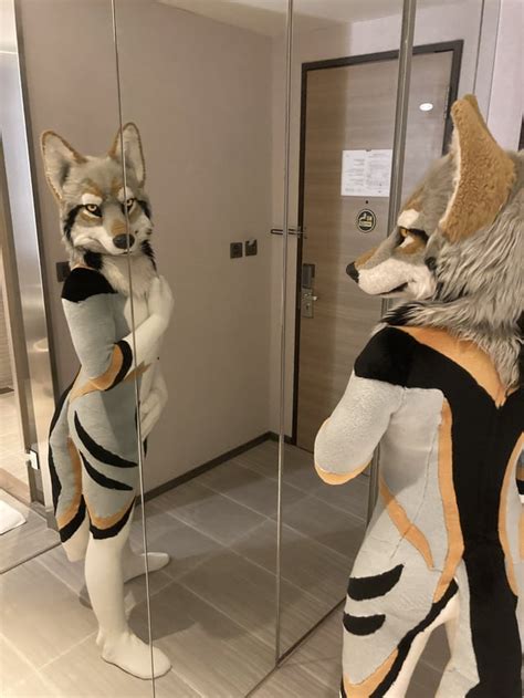 Fursuit Porn Videos 